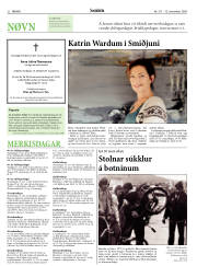 Síða 22