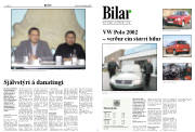 Síða 8