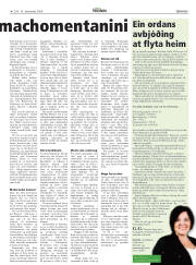 Síða 17