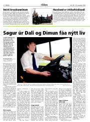 Síða 20