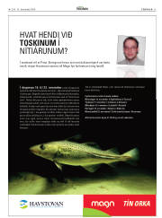 Síða 25