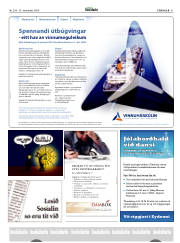 Síða 31