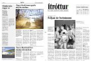 Síða 11