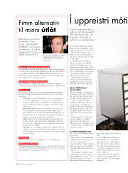 Síða 1
