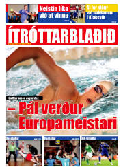 Síða 17