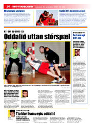 Síða 20