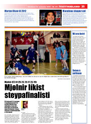 Síða 25