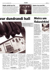 Síða 31