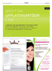 Síða 3