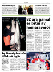 Síða 4