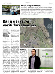 Síða 11
