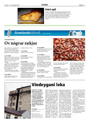 Síða 21