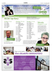 Síða 30