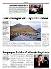 Síða 15
