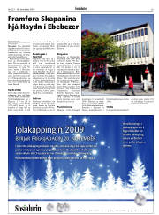 Síða 29