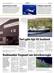 Síða 11