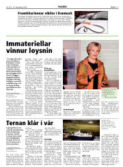 Síða 15