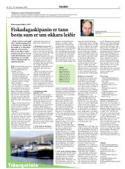 Síða 17