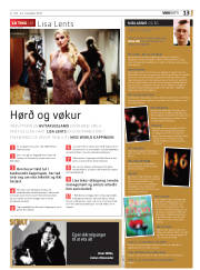 Síða 13