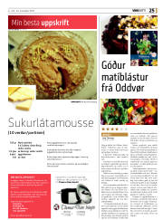 Síða 25