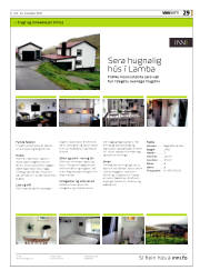 Síða 29