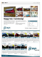 Síða 30