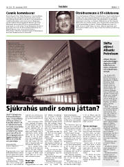 Síða 11