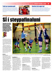 Síða 23