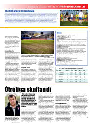 Síða 25