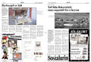 Síða 3