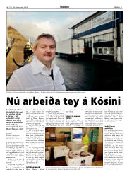 Síða 11