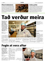 Síða 12