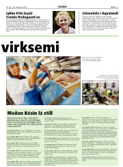 Síða 13