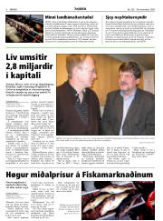 Síða 8