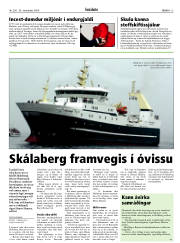 Síða 13