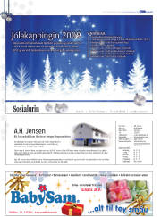Síða 30
