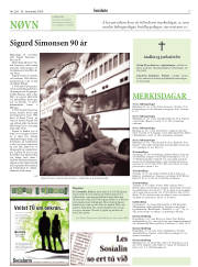 Síða 17
