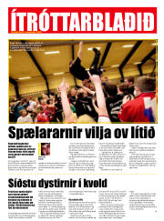 Síða 20