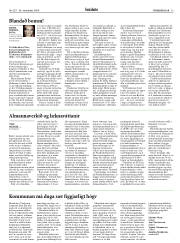 Síða 13