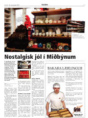 Síða 17