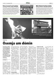 Síða 11