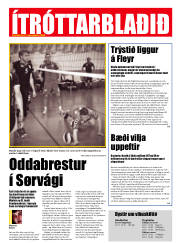 Síða 12