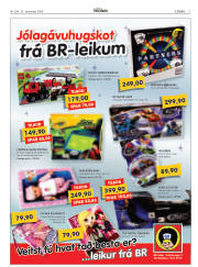 Síða 17