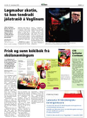 Síða 31