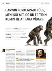 Síða 8