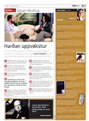Síða 11