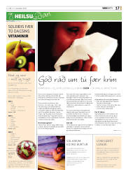 Síða 17