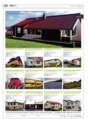 Síða 20