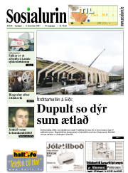 Síða 1