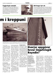 Síða 11